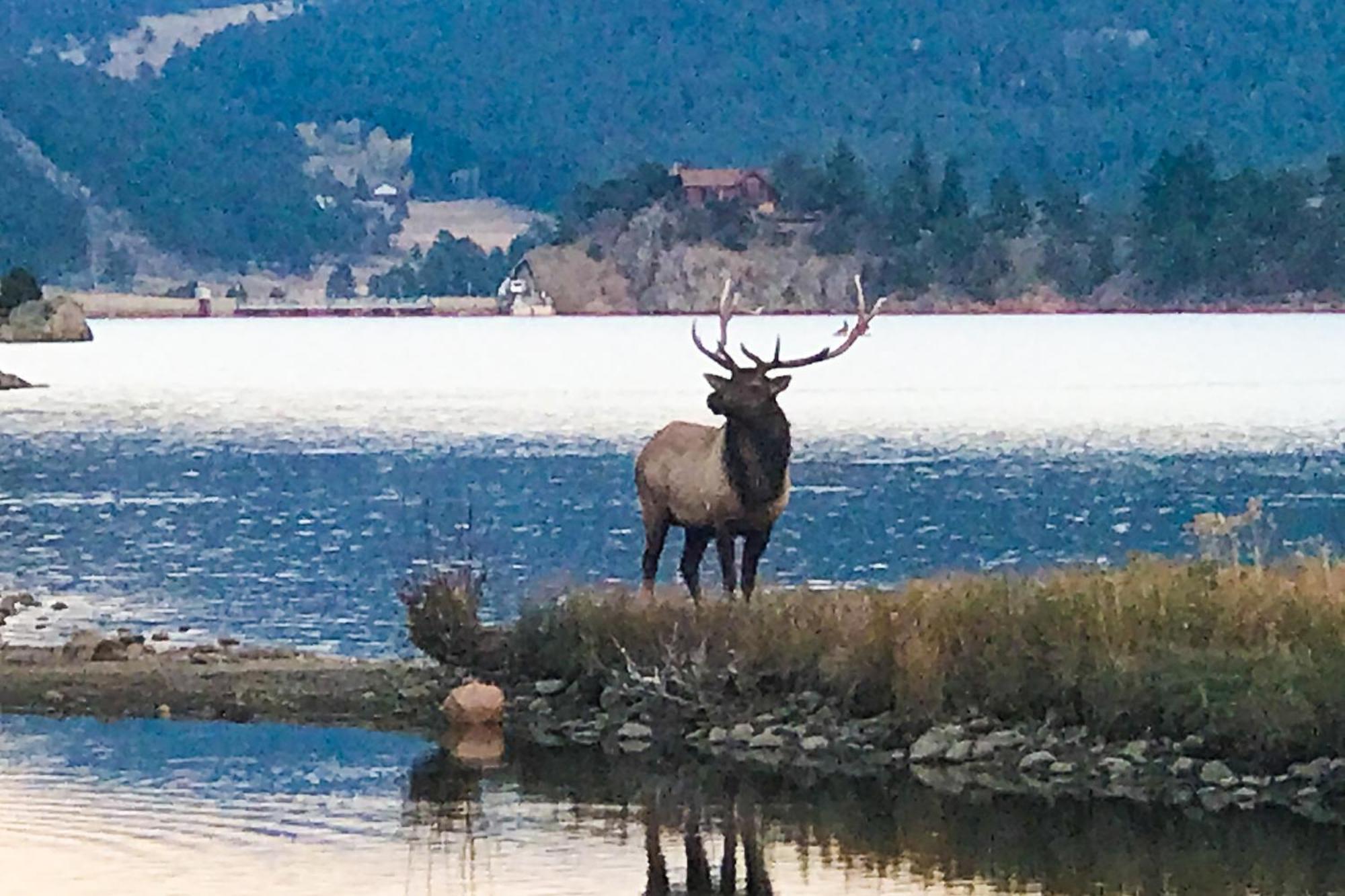 Holiday home Fairways & 14ers Estes Park